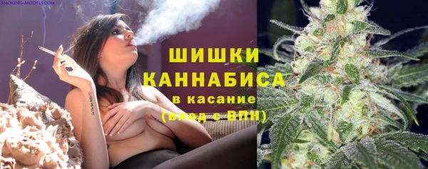 круглые Аркадак