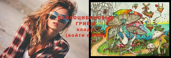 круглые Аркадак
