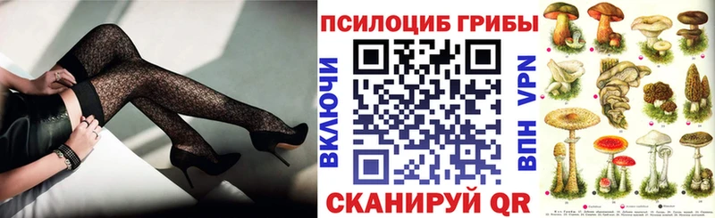Псилоцибиновые грибы мухоморы  купить наркотик  Макарьев 